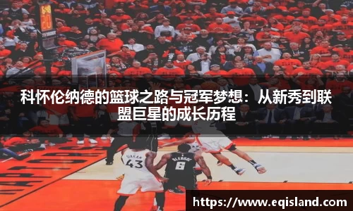 emc体育官方下载